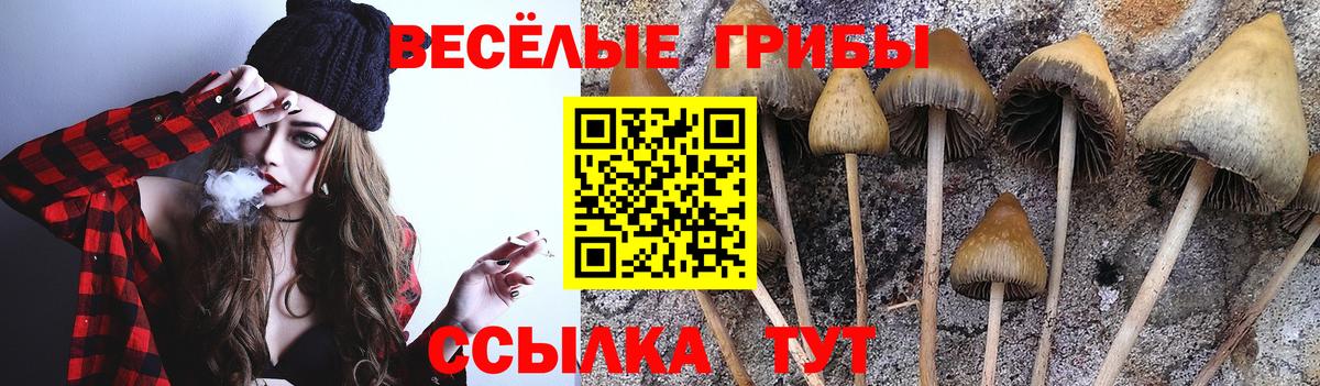 Галлюциногенные грибы мухоморы  Вход с VPN  Калуга  Псилоцибиновые грибы Magic Shrooms 